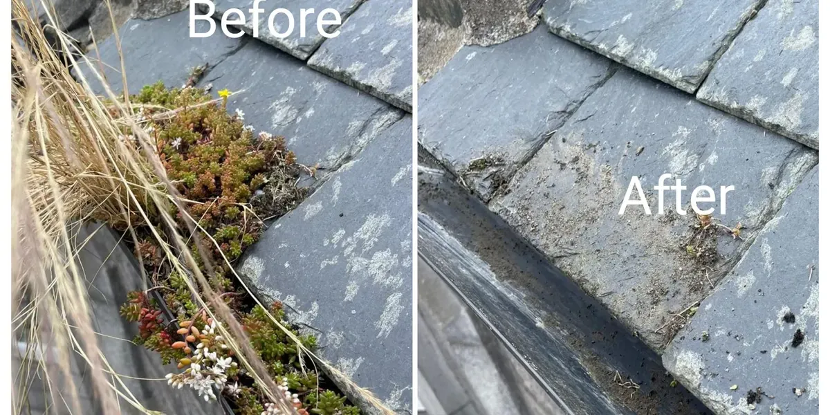 What Damage Can a Leaking Gutter Cause? The Hidden Cost of Ignoring Your Gutters