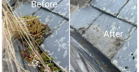What Damage Can a Leaking Gutter Cause? The Hidden Cost of Ignoring Your Gutters