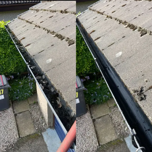 Professional gutter cleaning service