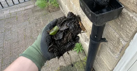 How to Unclog a Gutter Drain