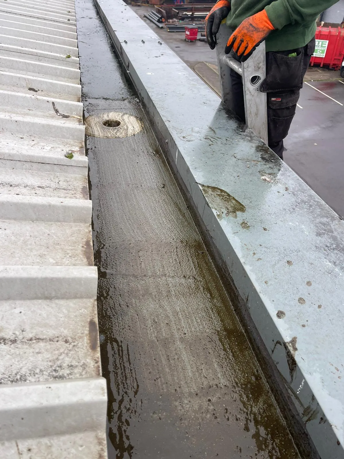 Professional gutter cleaning service