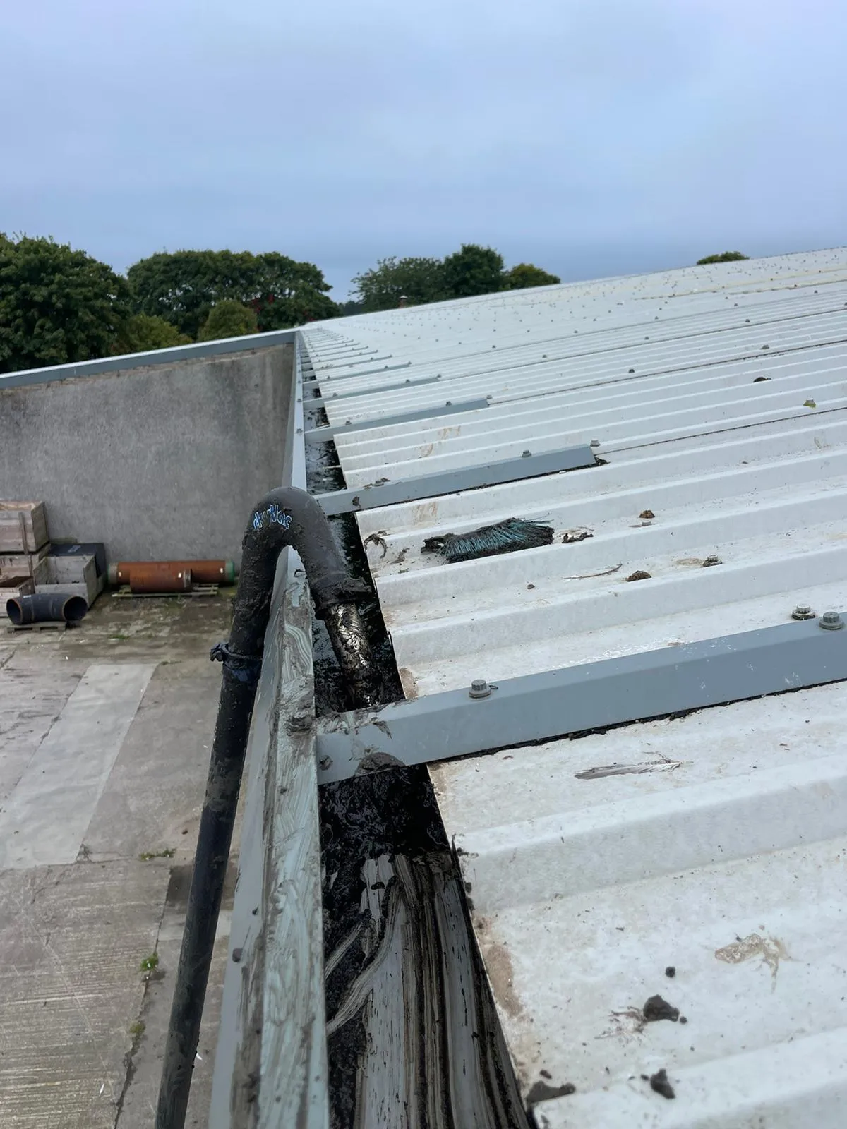 SkyVac gutter cleaning