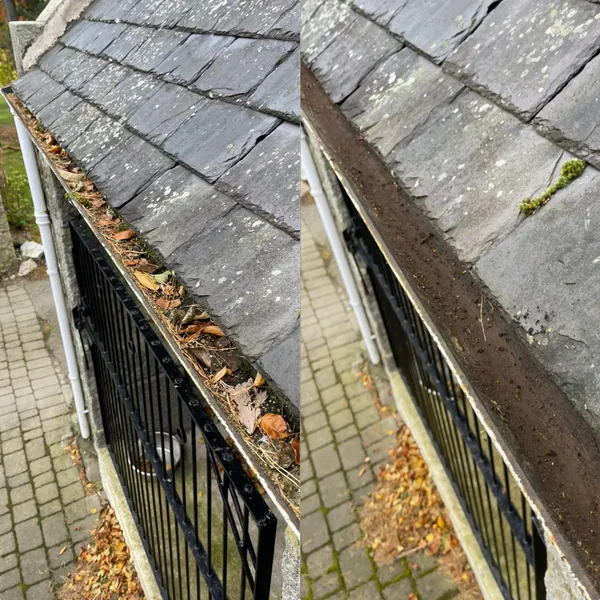 Before and after gutter cleaning