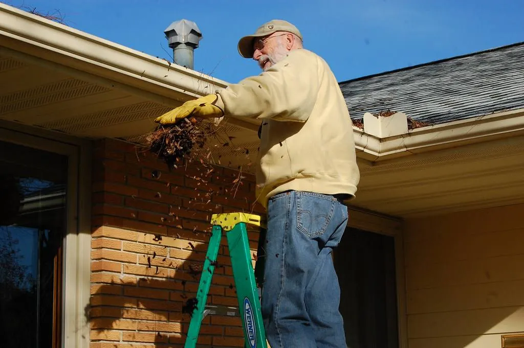 Professional gutter cleaning services
