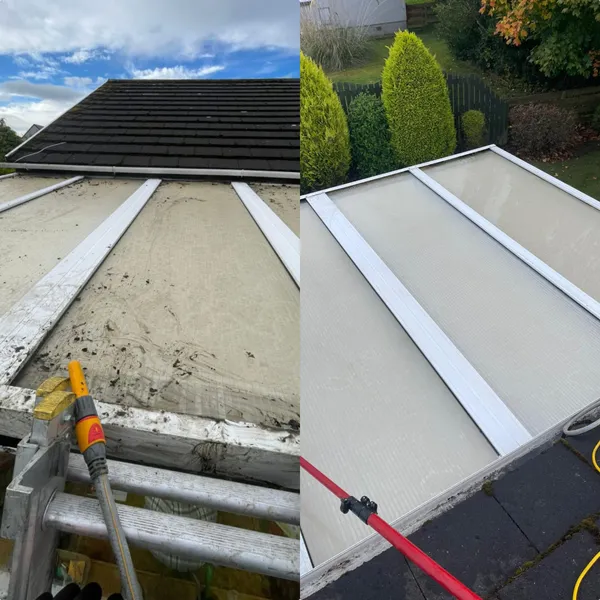 Professional gutter cleaning service