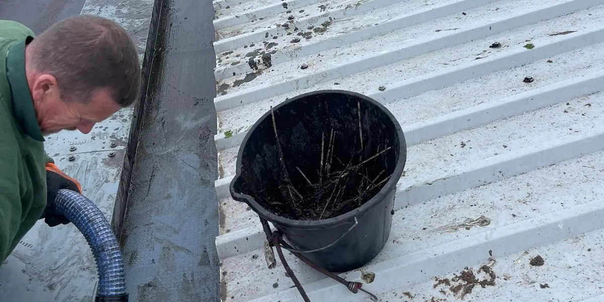 Local Gutter Cleaning: Why Hiring a Pro Near You is the Smartest Choice for Your Home