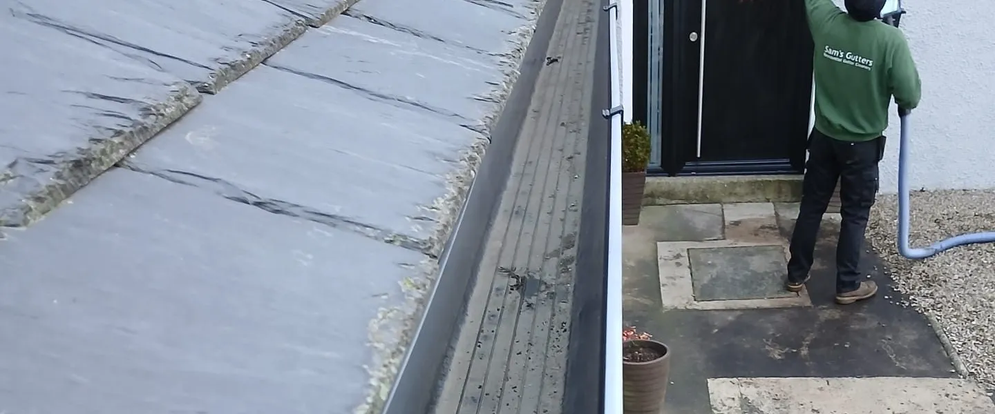 Why Regular Gutter Cleaning is Important