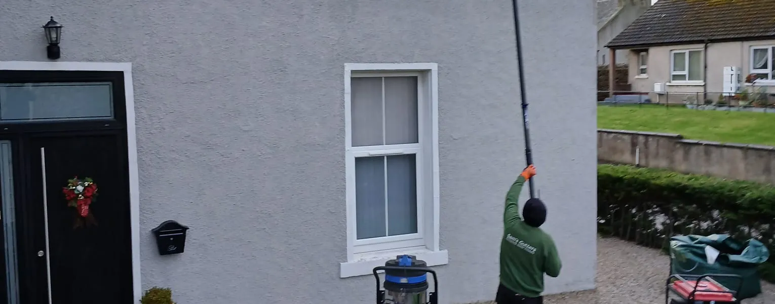 How to Stop Birds Nesting in Gutters (Without Harming Them)
